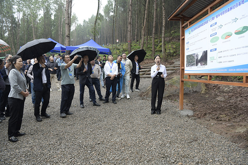 全省國家儲(chǔ)備林建設(shè)工作現(xiàn)場(chǎng)推進(jìn)會(huì)參觀通江縣兩山公司項(xiàng)目