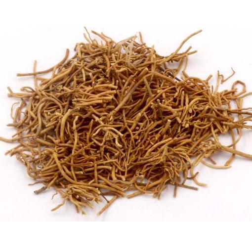 徐長(cháng)卿 Cynanchi Paniculati Radix Et Rhizoma