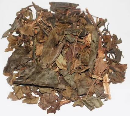 腫節風(fēng)（草珊瑚） SARCANDRAE HERBA