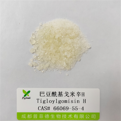 巴豆?；昝仔罤|66069-55-4