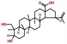 普菲德專(zhuān)題產(chǎn)品推薦-白頭翁系列(圖2)