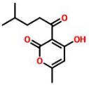普菲德專(zhuān)題產(chǎn)品推薦-廣藿香系列(圖2)