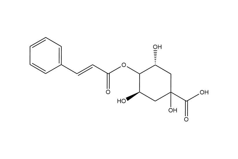 4-O-肉桂?？鼘幩醸5509-70-6